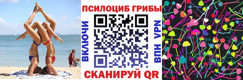 Псилоцибиновые грибы Psilocybe  Переславль-Залесский 