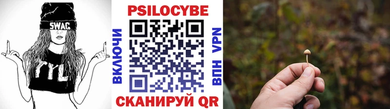 Псилоцибиновые грибы Psilocybine cubensis Переславль-Залесский