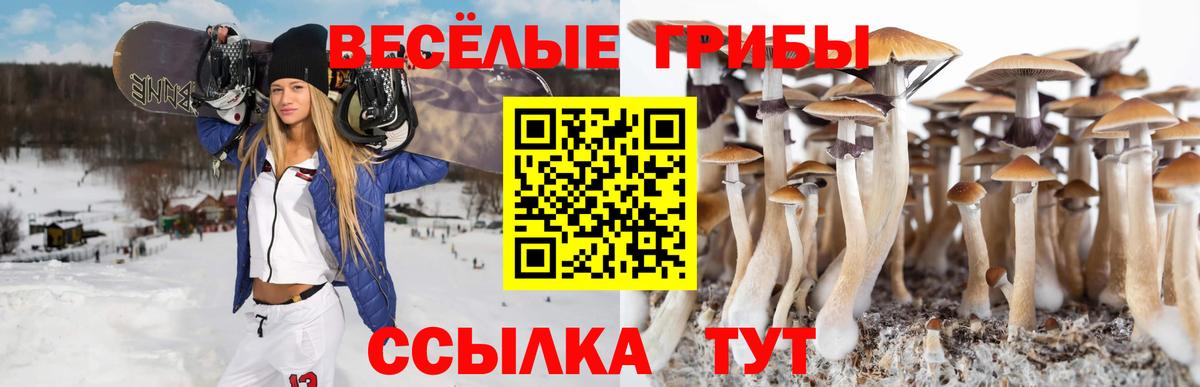 Псилоцибиновые грибы MAGIC MUSHROOMS Переславль-Залесский