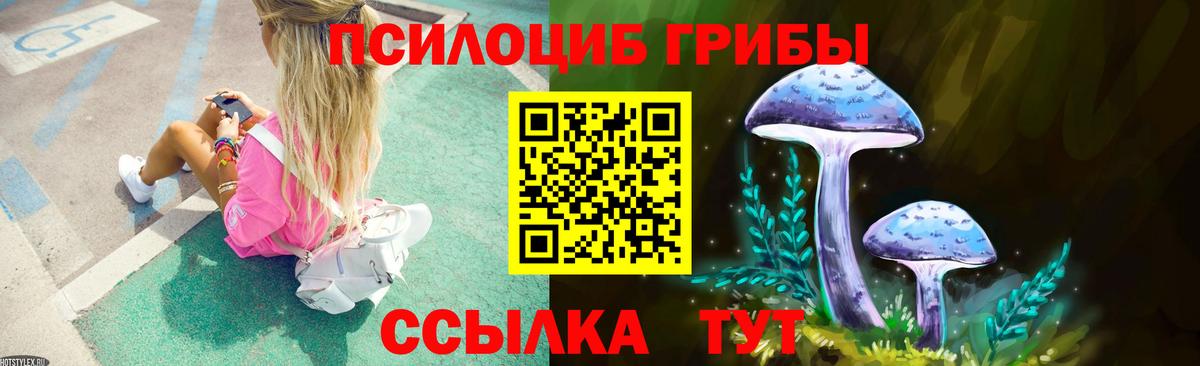 Галлюциногенные грибы MAGIC MUSHROOMS  Вход с VPN  где найти наркотики  Переславль-Залесский  Галлюциногенные грибы Magic Shrooms 